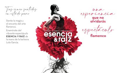 Espectáculo flamenco en Madrid en el Teatro Sanpol